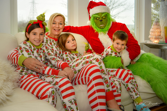Grinch Stole Christmas (1)