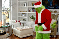 Grinch Stole Christmas (6)