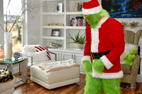 Grinch Stole Christmas (7)