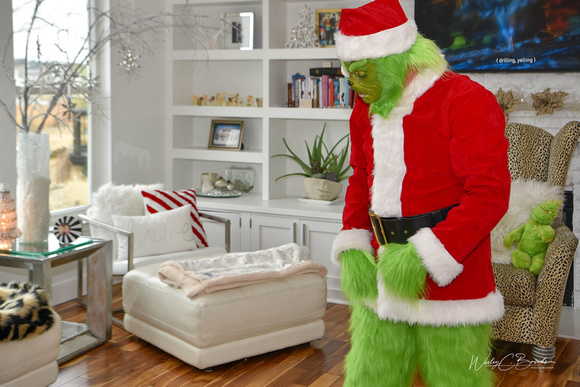 Grinch Stole Christmas (7)
