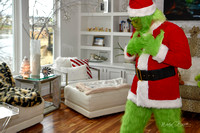 Grinch Stole Christmas (8)