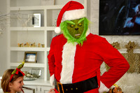 Grinch Stole Christmas (12)
