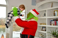 Grinch Stole Christmas (20)