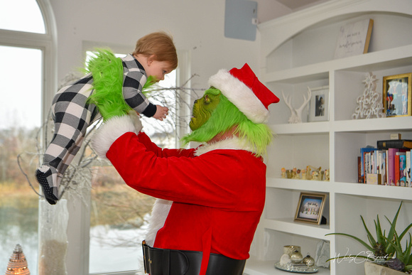 Grinch Stole Christmas (20)