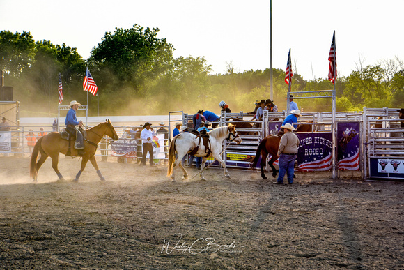 Rodeo D750 24 to 70 (53)
