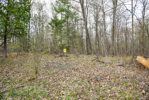 4181 Hummer Lake Road Spring (10)