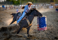 Rodeo at Auto City (1)
