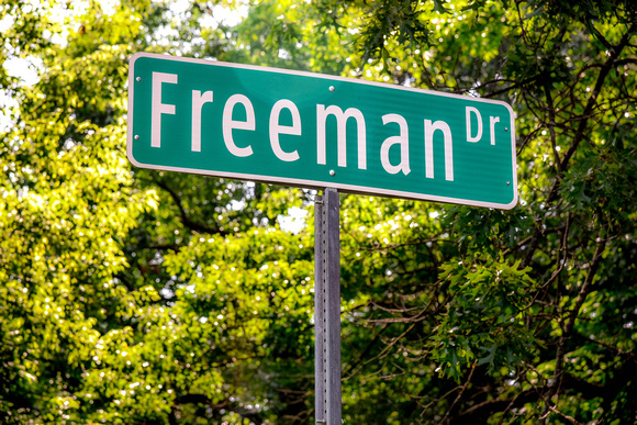 2696 Freeman by WB (3)