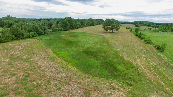 Almont 20 Acres Vacant Land (1)