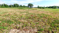 Almont 20 Acres Vacant Land (6)