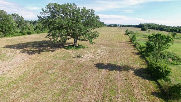 Almont 20 Acres Vacant Land (14)