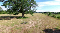 Almont 20 Acres Vacant Land (17)