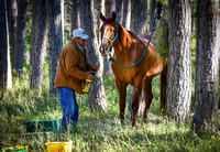 Mio Horse Trail Camp  Sept 2021 (7)