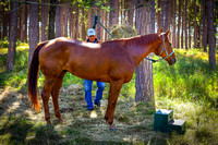 Mio Horse Trail Camp  Sept 2021 (9)