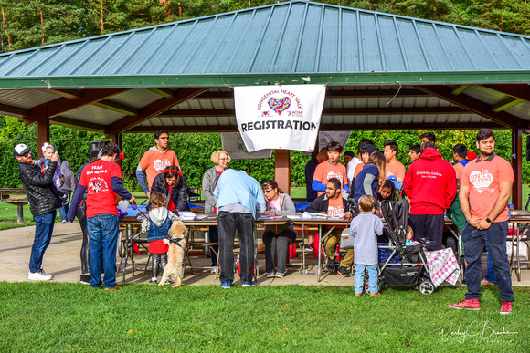 Heart Walk 2018 by Wes Brooks (17)