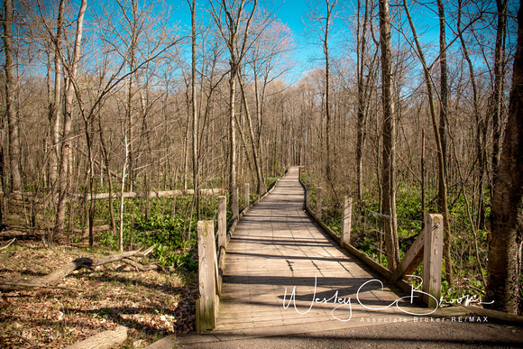 Independence Oaks April 2017 (12)
