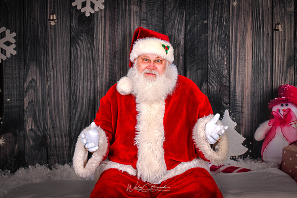 REMAX Santa 2024 (2)